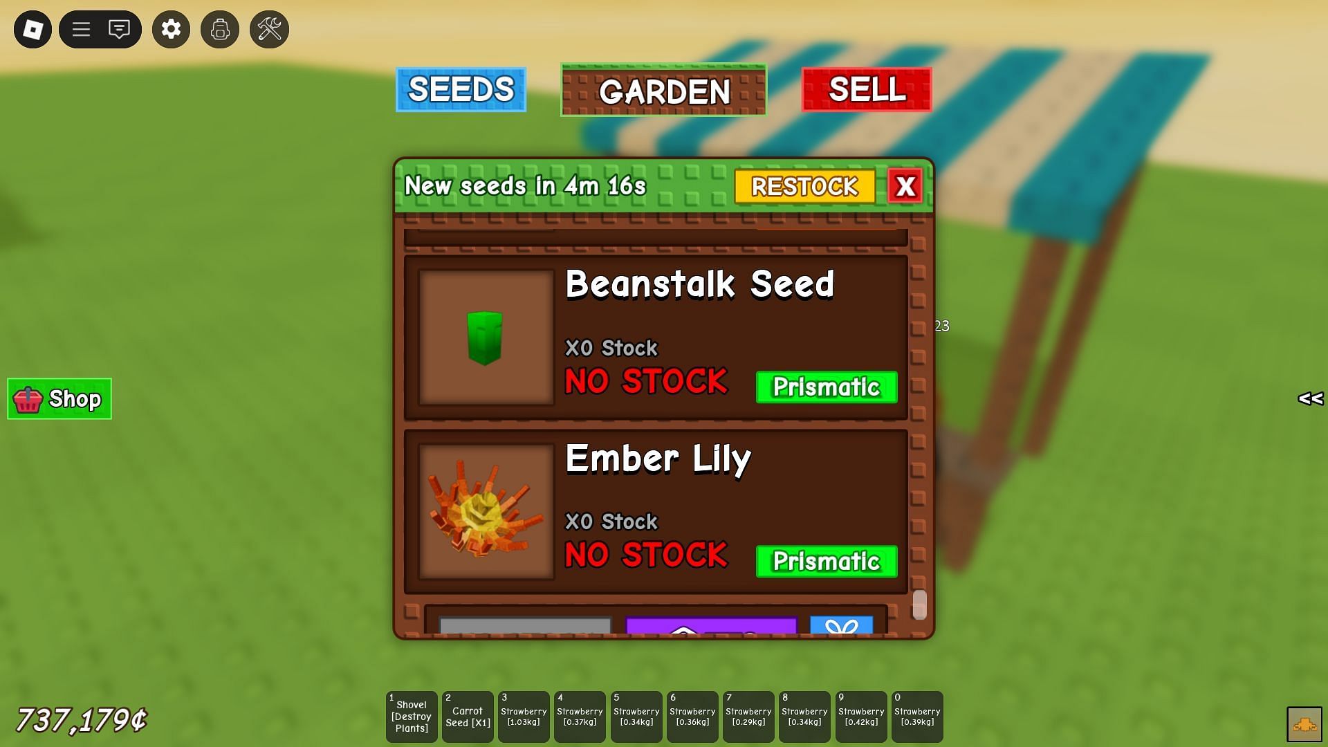 Ember Lily in the Seed Shop (Image via Roblox)